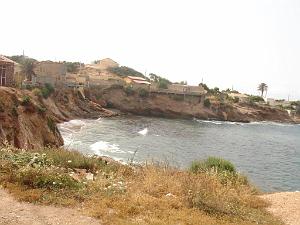 oran 155
